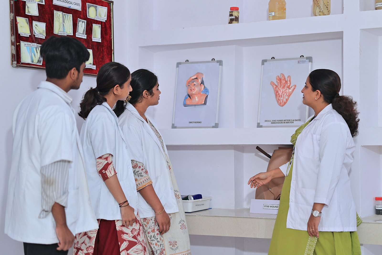 Bachelor of Ayurvedic Medicine and Surgery (BAMS)