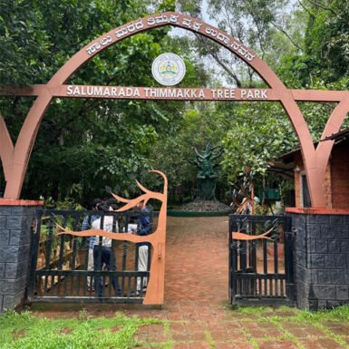 Educational Trip Report