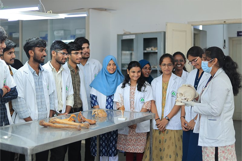 Medical Camps